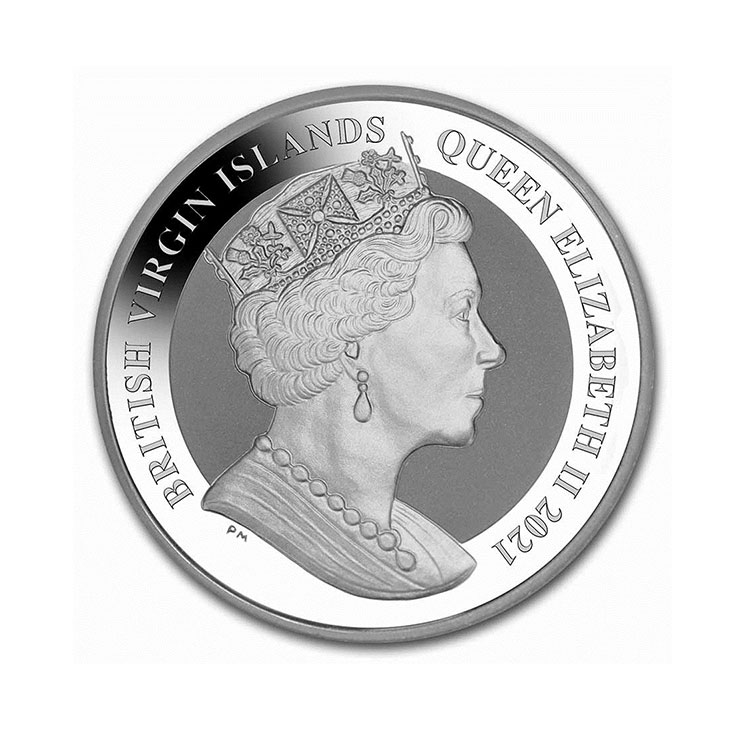 2021-bvi-1-oz-silver-flamingo-reverse-frosted-bu_228851_rev 2021 BVI 1 oz Silver Flamingo Reverse Frosted BU