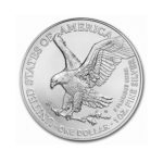 1 oz American Silver Eagle Coin BU